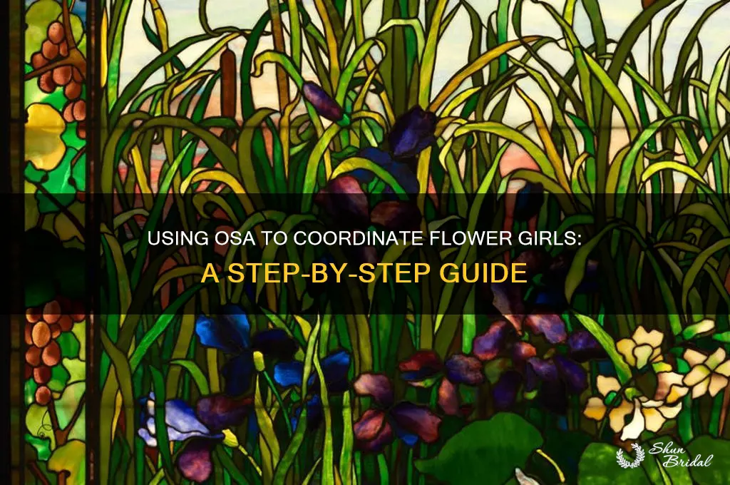 how to use osa with flower girls
