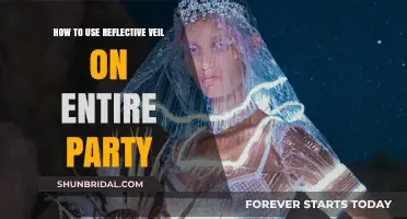 Mastering Reflective Veil: Party-Wide Application Tips and Tricks