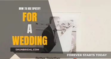 Spotify for Your Wedding: A Guide to the Perfect Day