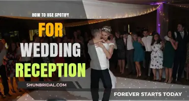 Spotify for Your Wedding Reception: A Step-by-Step Guide