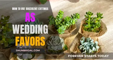 Creative Succulent Wedding Favors from Cuttings