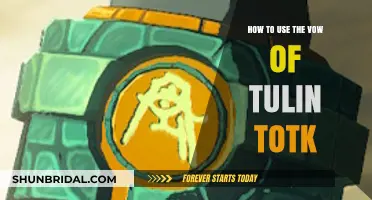 Mastering Tulin's Vow in TotK: A Comprehensive Guide