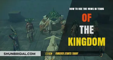 Mastering Vows in Tears of the Kingdom: Tips and Strategies