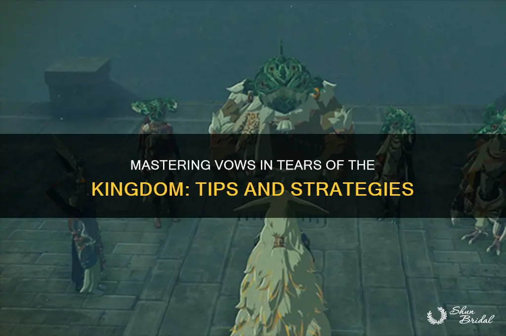 how to use the vows in tears of the kingdom