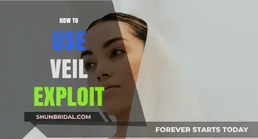 Mastering Veil Exploit: Advanced Techniques for Ethical Hacking Success