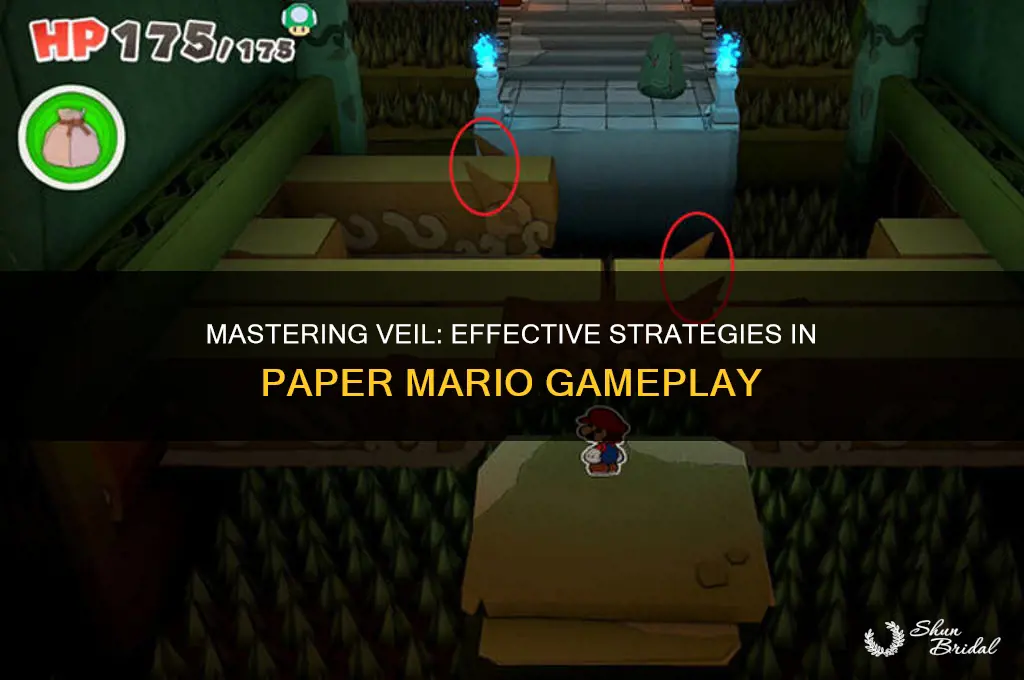 how to use veil in paper mario