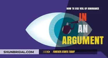 Mastering the Veil of Ignorance: A Powerful Tool for Fair Arguments