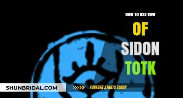 Mastering Vow of Sidon in TotK: Tips and Strategies