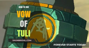 Mastering Vow of Tuli: A Step-by-Step Guide for Effective Use