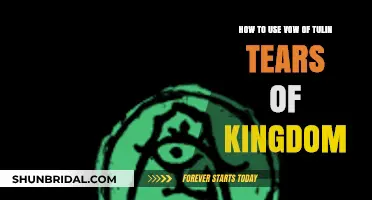 Mastering Vow of Tulin in Tears of Kingdom: Ultimate Guide