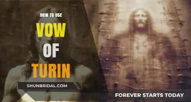 Mastering the Vow of Turin: A Step-by-Step Guide to Effective Use