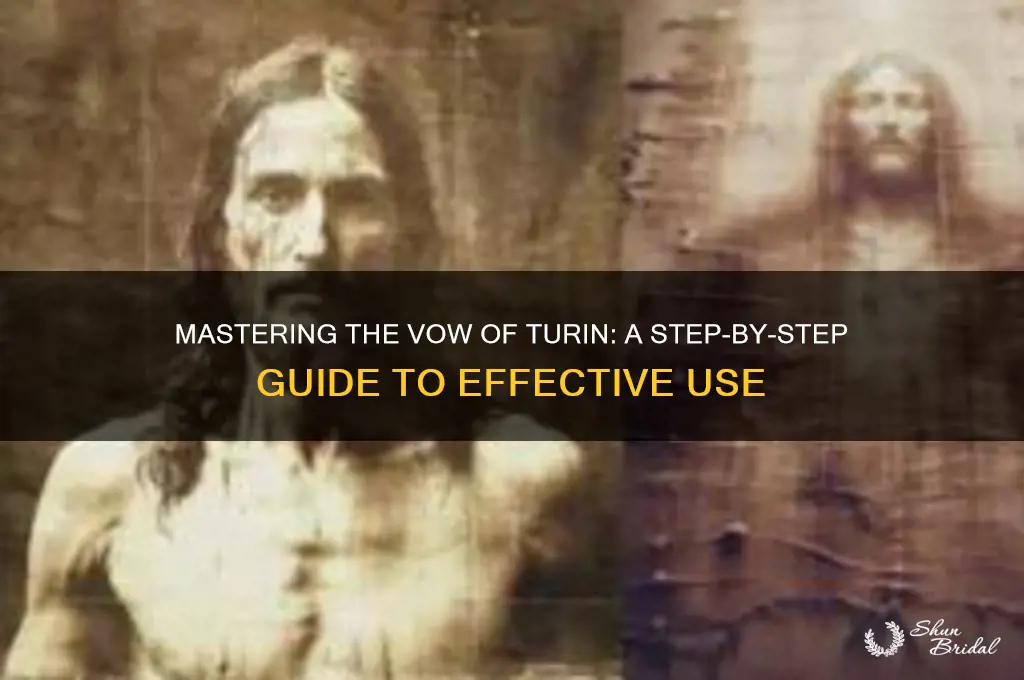 how to use vow of turin