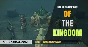 Mastering Vow Tears of the Kingdom: Essential Tips and Strategies