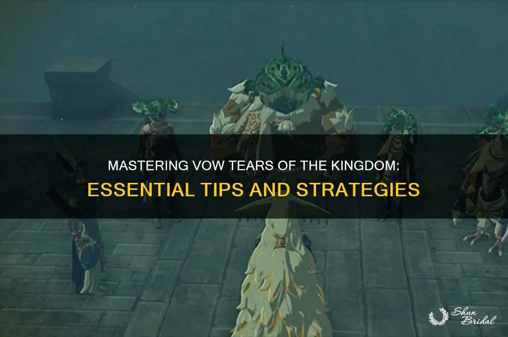 how to use vow tears of the kingdom