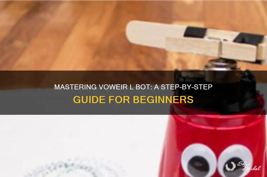 how to use voweir l bot