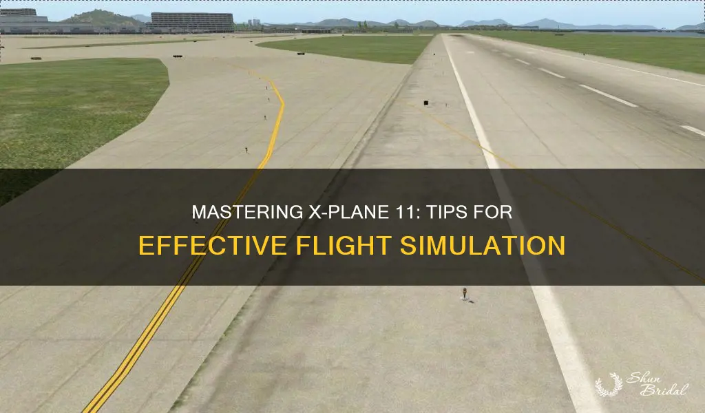 how to use wed x plane 11