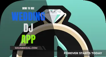 Using a Wedding DJ App: Music, Timeline, and More