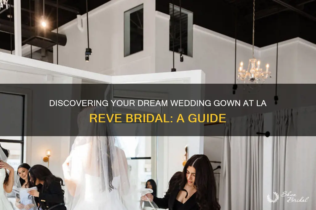 how to view wedding gown in larevebridal
