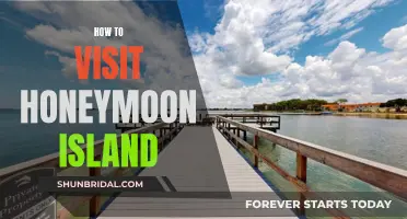 Honeymoon Island Getaway: A Guide to Your Perfect Escape