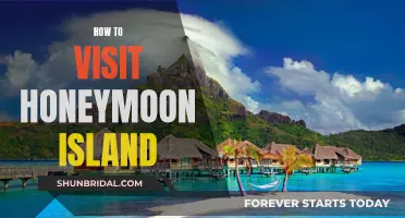 Honeymoon Island: A Guide to Planning Your Visit