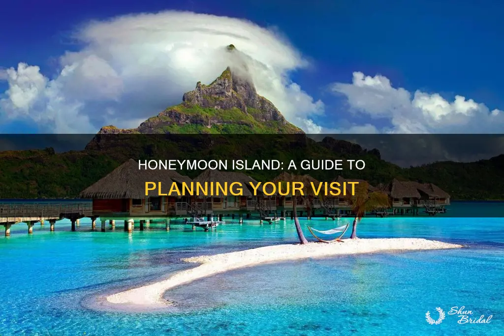 how to visit honeymoon island