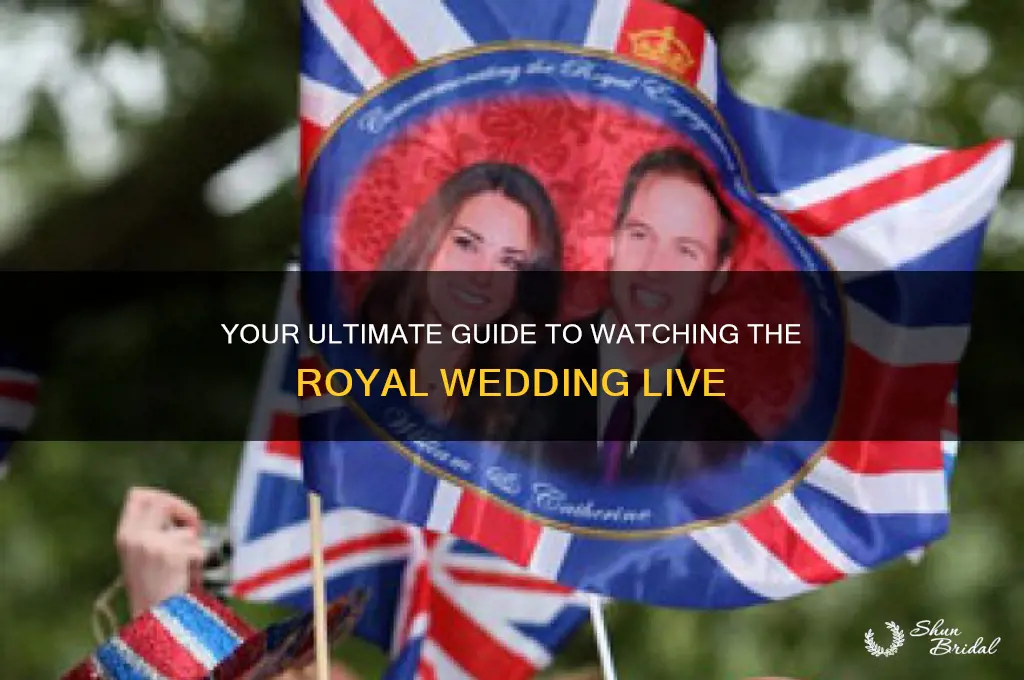 how to watcg the royal wedding