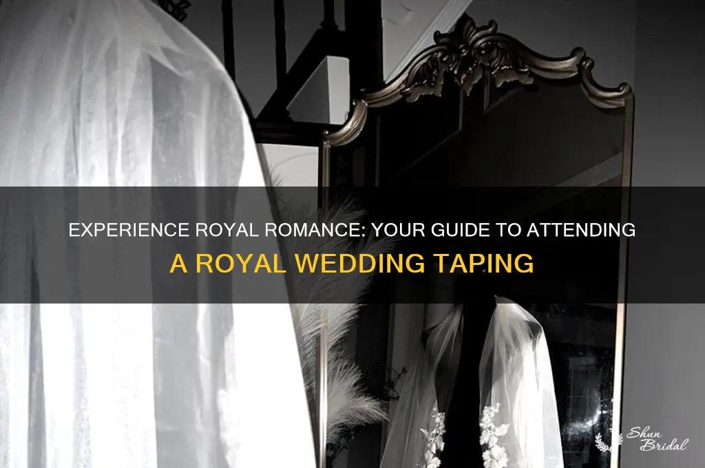 how to watch a taping of royal wedding