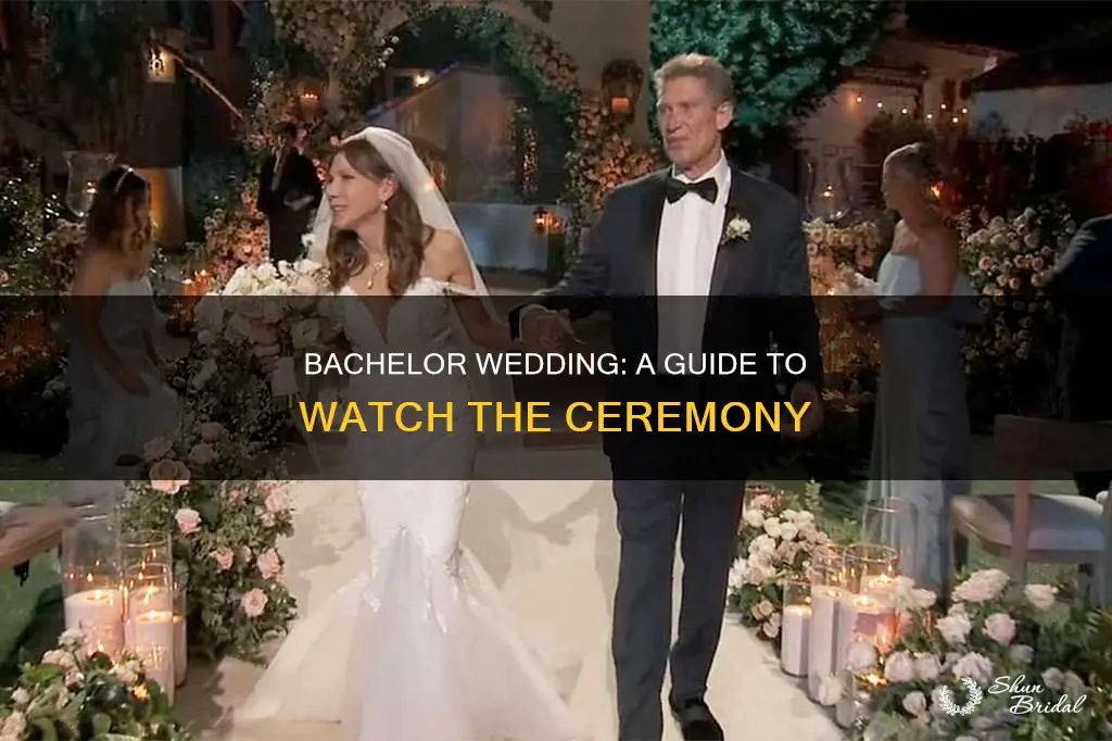 how to watch bachelor wedding