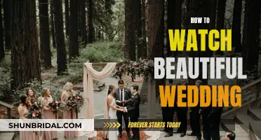 Tips for Watching a Beautiful Wedding Ceremony