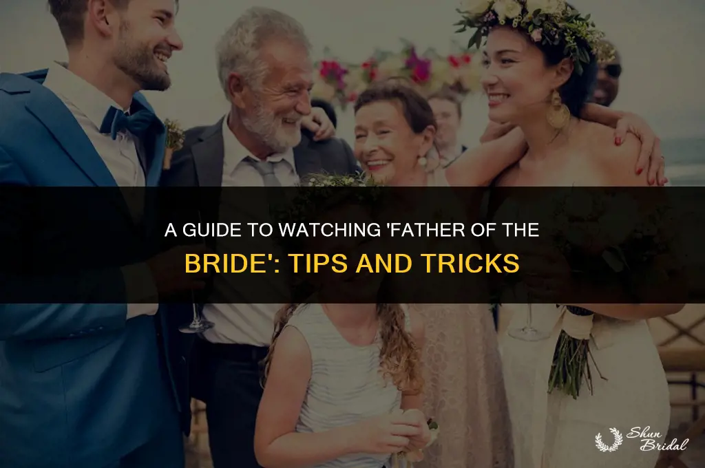 how to watch father of the bride