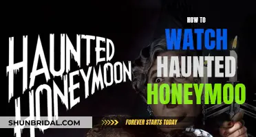 Haunted Honeymoon: A Guide to Watching the Spooky Movie