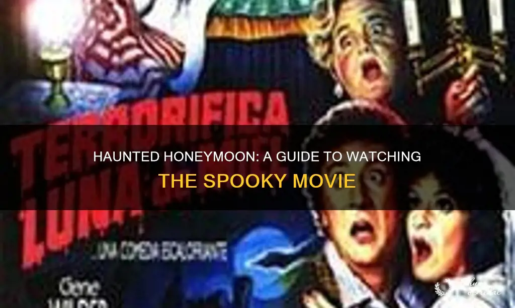 how to watch haunted honeymoon