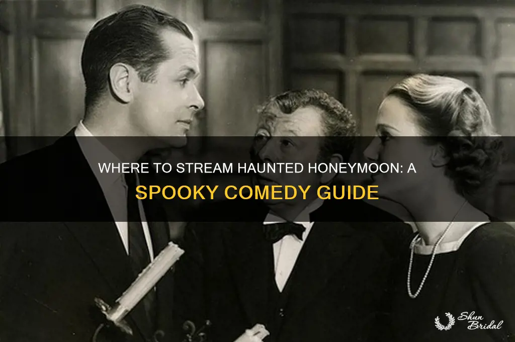how to watch haunted honeymoon