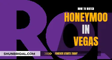 Streaming Guide: Honeymoon in Vegas