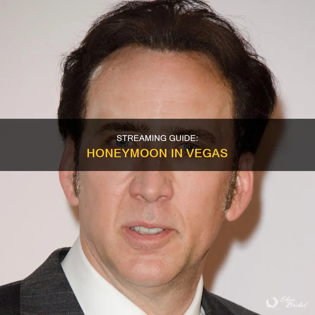 how to watch honeymoon in vegas