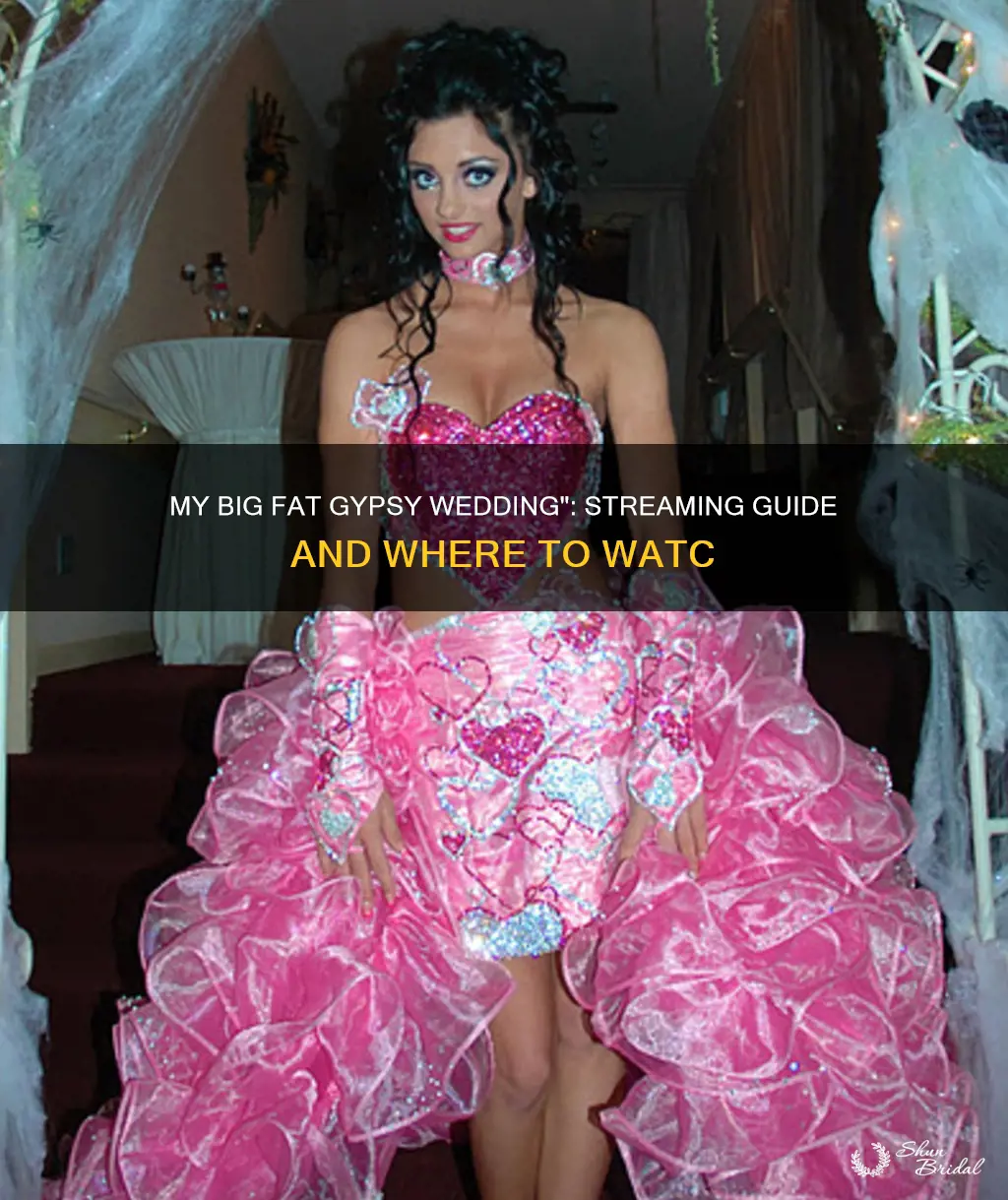 how to watch my big fat gypsy wedding