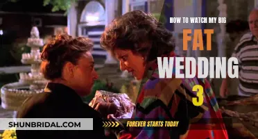 My Big Fat Wedding 3: Streaming Guide and Release Details