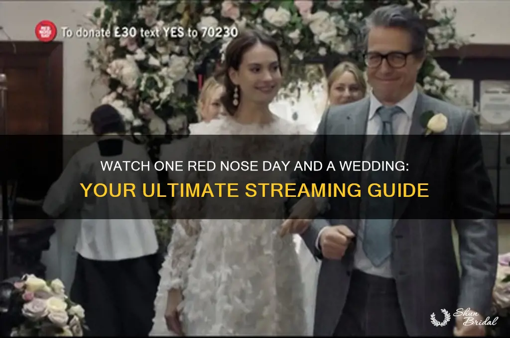 how to watch one red nose day and a wedding