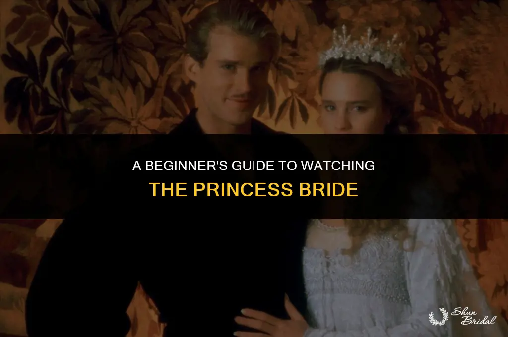 how to watch princess bride