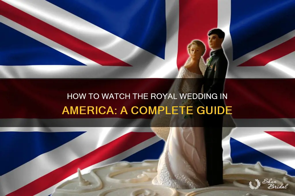 how to watch royal wedding america