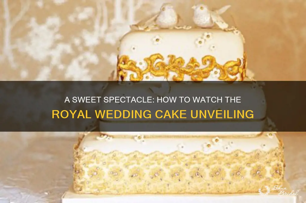 how to watch royal wedding cake