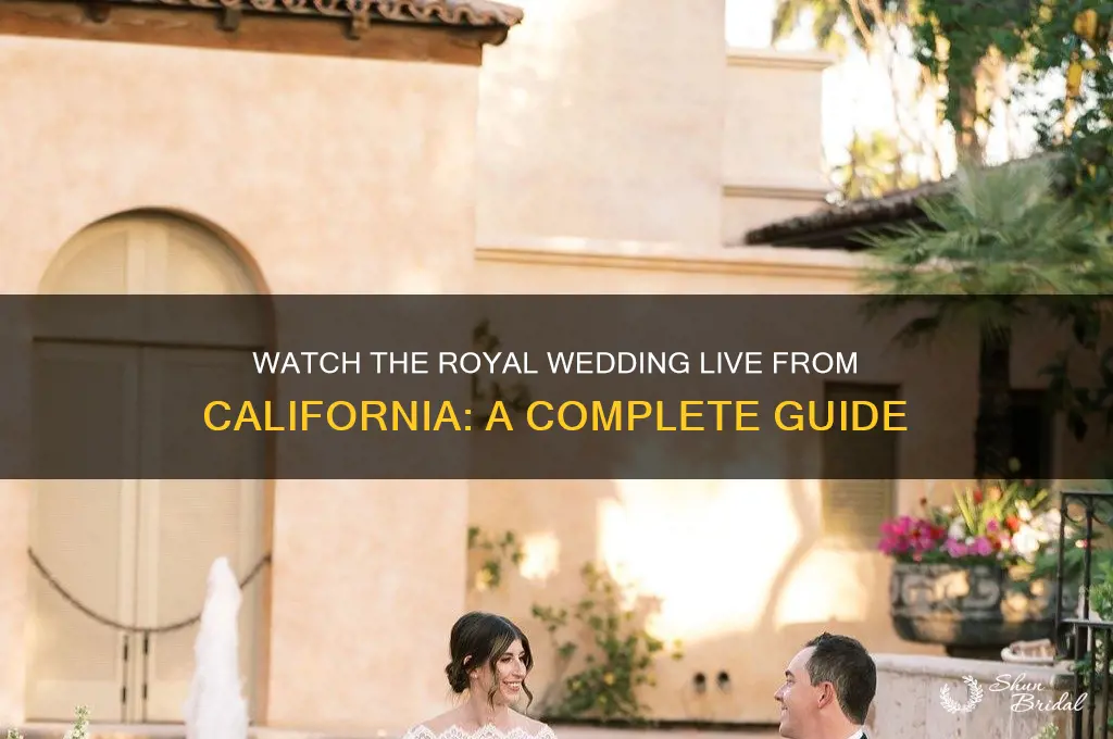 how to watch royal wedding from calornia