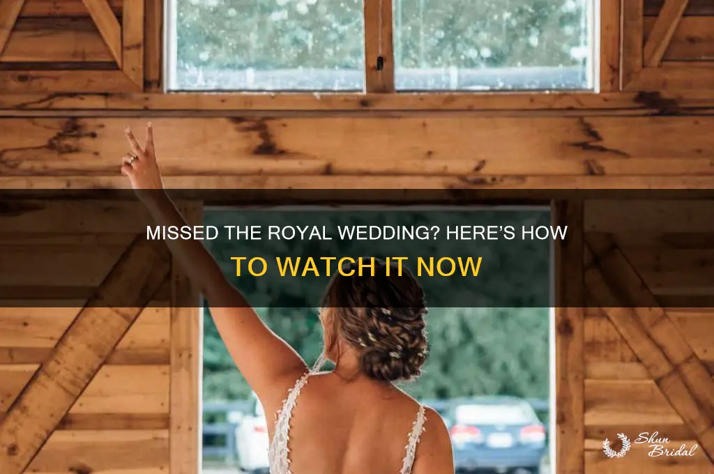how to watch royal wedding if you missed it