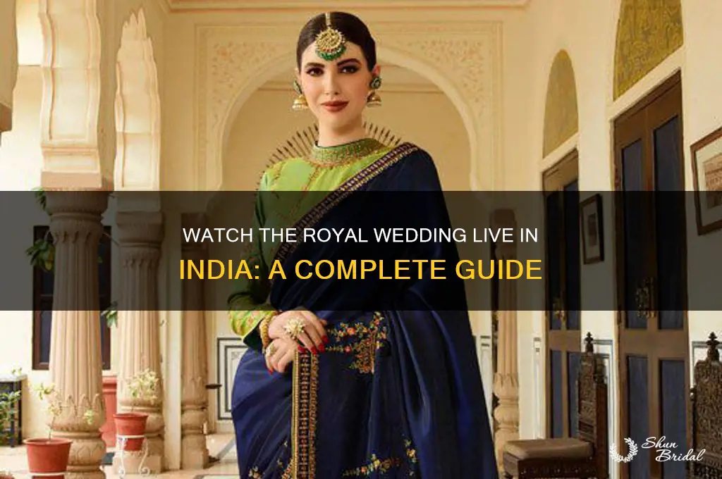 how to watch royal wedding in india
