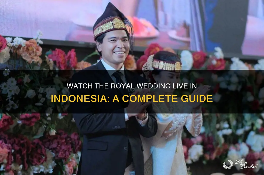 how to watch royal wedding in indonesia