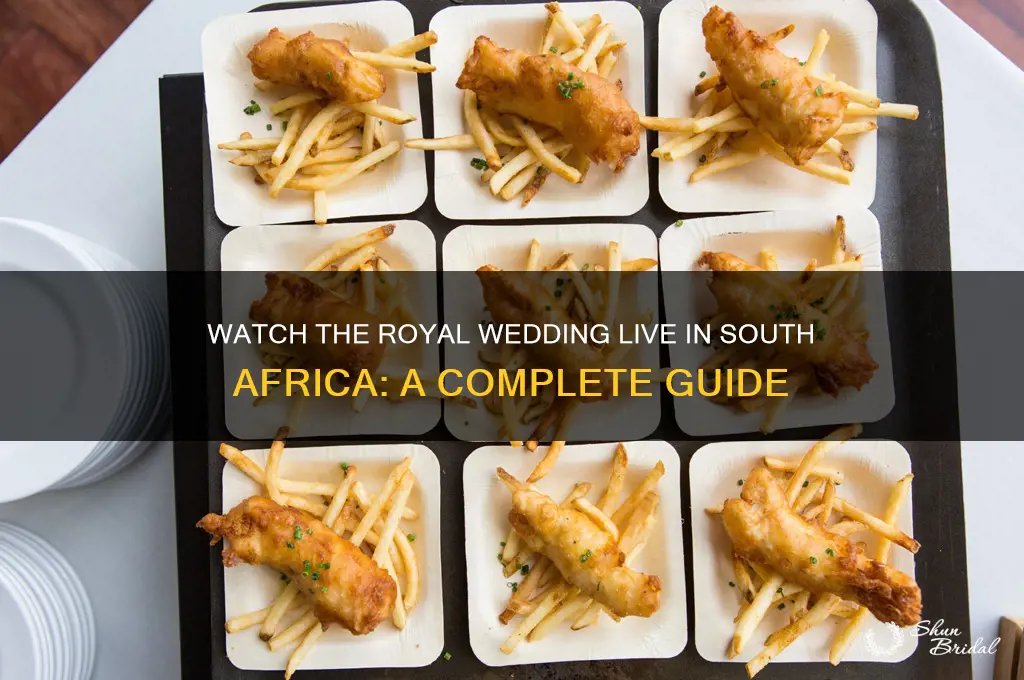 how to watch royal wedding in south africa