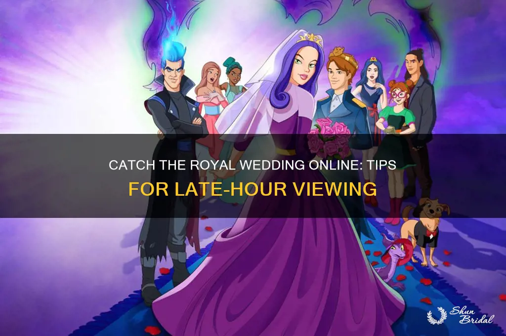 how to watch royal wedding on internet at later hour
