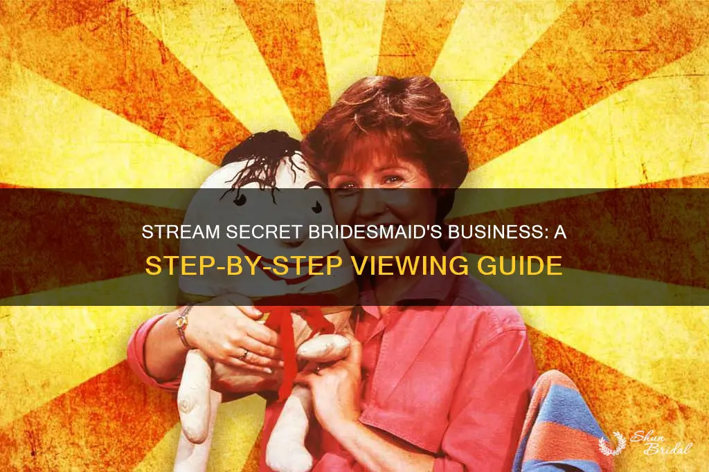 how to watch secret bridesmaids business