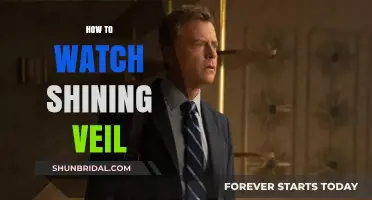 Discover How to Watch Shining Veil: A Complete Streaming Guide