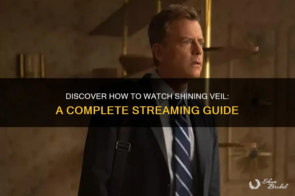 how to watch shining veil